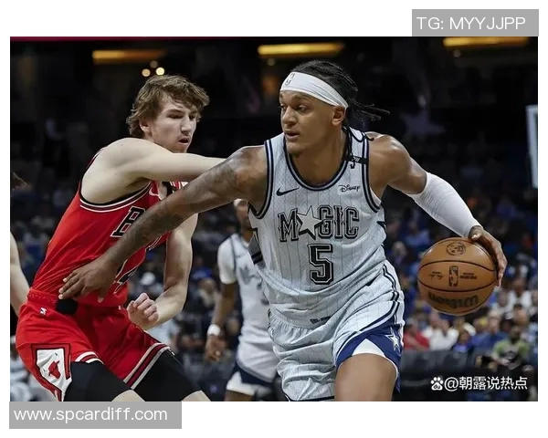 明星球员生活全揭秘 赛场之外的真实面貌与独特魅力